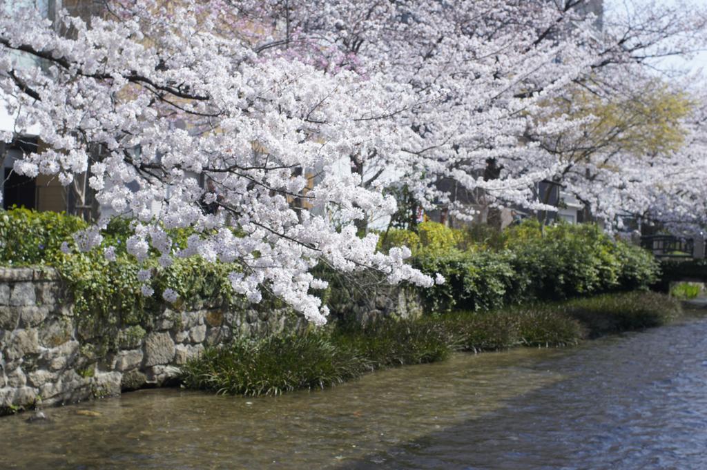 Jeugiya Villa Kyoto Ngoại thất bức ảnh